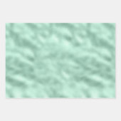 Girly Glam Minze Animal Print Geschenkpapier Set (Vorderseite 3)