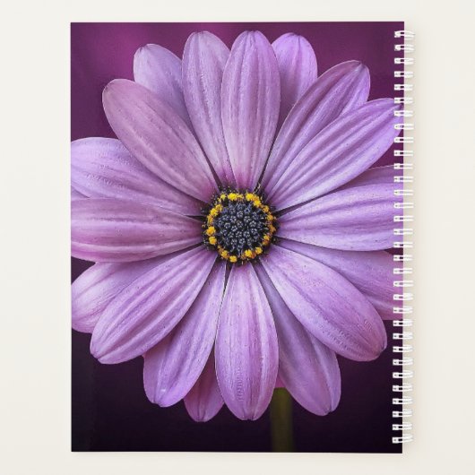 Girly Hello Beautiful Zitat Lavender Daisy Blume Planer (Rückseite)