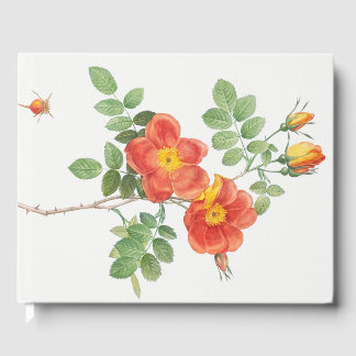 Girly Orange Rose Floral Botanical Gästebuch