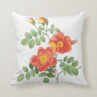 Girly Orange Rose Floral Botanical Kissen