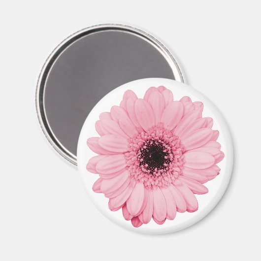 Girly-pink-Magnet mit schöner Gerberer-Blume Magnet (Vorderseite/Rückseite)