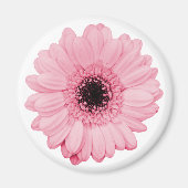 Girly-pink-Magnet mit schöner Gerberer-Blume Magnet (Vorne)