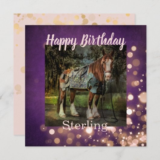 Girly Pink und Lila Glitzer Pferd Geburtstag Karte (Vorne/Hinten)