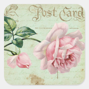 Girly Vintage rosa Rosen-elegante BlumenHütte Quadratischer Aufkleber
