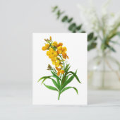 Giroflee Jaune von Pierre Joseph Redoute Postkarte (Stehend Vorderseite)