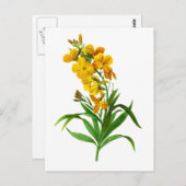 Giroflee Jaune von Pierre Joseph Redoute Postkarte (Vorne/Hinten)