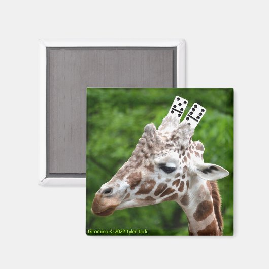 Giromino-Magnet Magnet (Vorderseite/Rückseite)