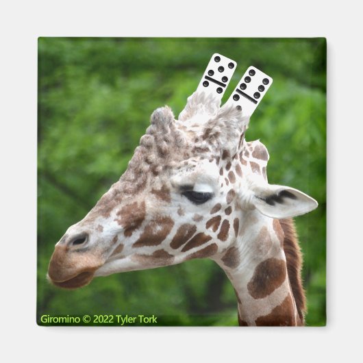 Giromino-Magnet Magnet (Vorne)