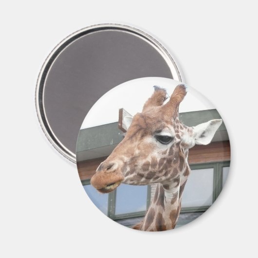 Girraffe Magnet (Vorderseite/Rückseite)