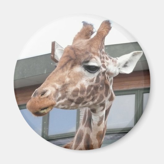 Girraffe Magnet (Vorne)