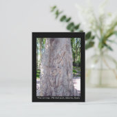 Gitarrenbaumschnitzerei - Spanien Postkarte (Stehend Vorderseite)