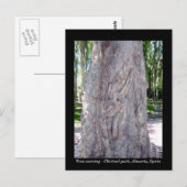 Gitarrenbaumschnitzerei - Spanien Postkarte (Vorne/Hinten)