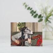 Gitarrenhund Postkarte (Stehend Vorderseite)