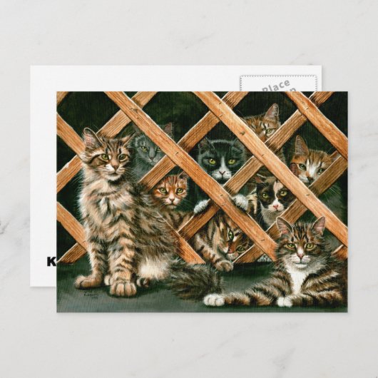 Gitter-Katzen-Postkarte Postkarte (Vorne/Hinten)