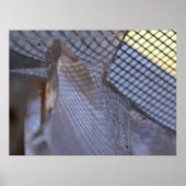 Gittergewebe Poster (Vorne)