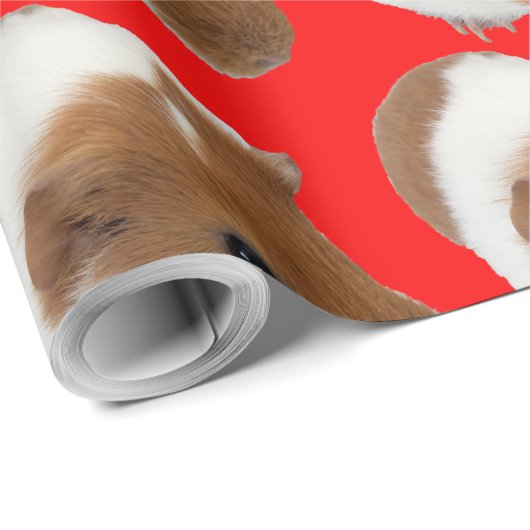 Giunea-Umhüllungspapier Geschenkpapier (Rolleneckpunkt)