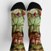 Giuseppe Arcimboldo - Vertumnus Socken (Oben)