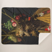 Giuseppe Arcimboldo - Vier Jahreszeiten in einem K Sherpadecke (Vorderseite (Horizontal))