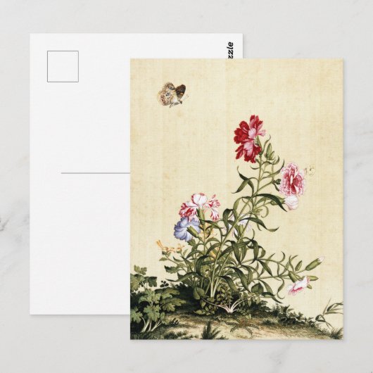 Giuseppe Castiglione - Kunstkunst Postkarte (Vorne/Hinten)