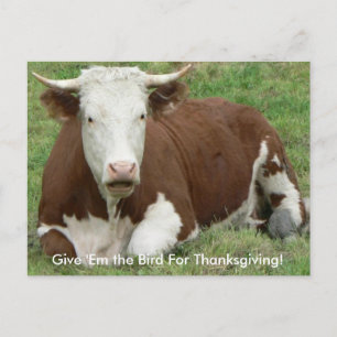 Give 'Em the Bird For Thanksgiving Cow Postcard Feiertagspostkarte