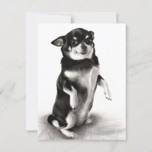 "Gizma"- preisgekrönte Chihuahua-Malerei Postkarte