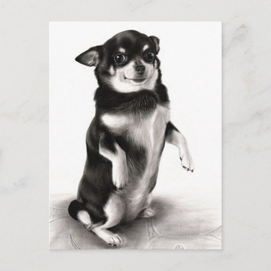 "Gizma"- preisgekrönte Chihuahua-Malerei Postkarte (Vorderseite)