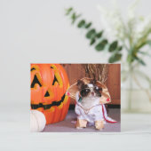 Gizmo - Chihuahua - Thomas Postkarte (Stehend Vorderseite)
