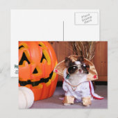 Gizmo - Chihuahua - Thomas Postkarte (Vorne/Hinten)