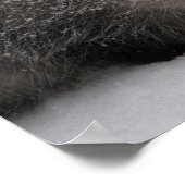 Gizmo Poster Print (Ecke)