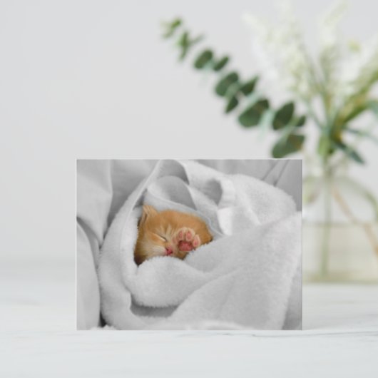 Gizmo Postkarte (Stehend Vorderseite)