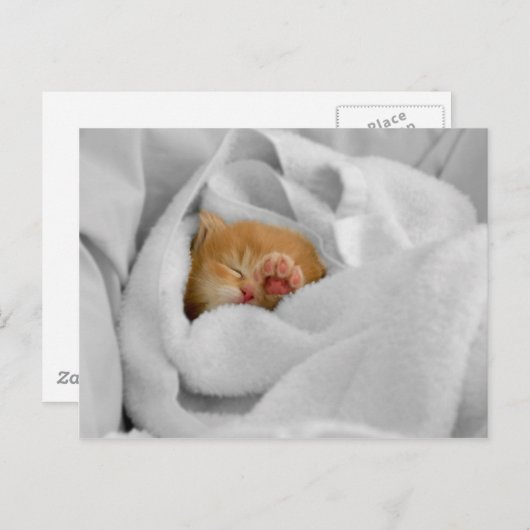 Gizmo Postkarte (Vorne/Hinten)