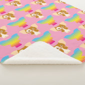 Gizmo Rainbow Pattern Sherpadecke (3/4)