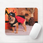 Gizzy - YorkiePom - Burbridge Mousepad (Mit Mouse)