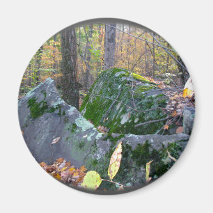 Glacial Boulders Montgomery Landkreis Pennsylania Magnet
