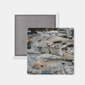 Glacial Potholes Shelburne Falls MA Magnet (Vorderseite/Rückseite)