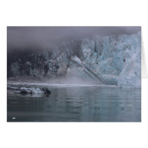 Glacier Bay Alaska