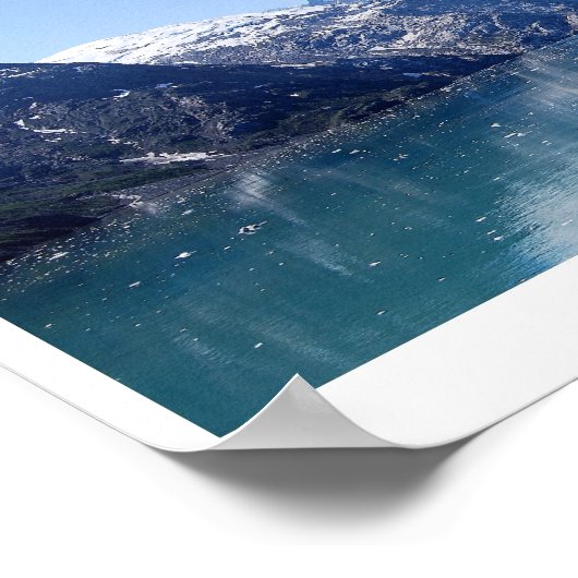 Glacier Bay Alaska Collage 24 x 20 Poster (Ecke)