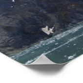 Glacier Bay Poster 7 (Ecke)