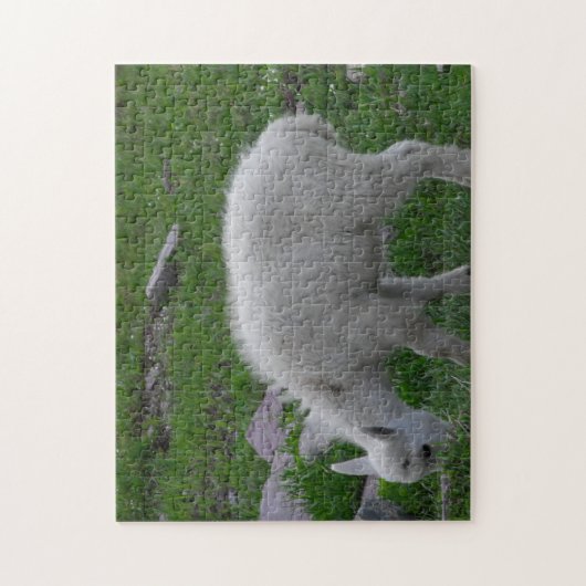 Glacier National Park Baby Mountain Goat Foto Puzzle (Vertikal)