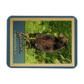 Glacier National Park Bear Vintage Reise Magnet (Horizontal)