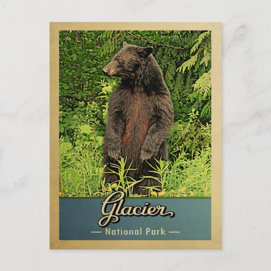 Glacier National Park Bear Vintage Reise Postkarte (Vorderseite)