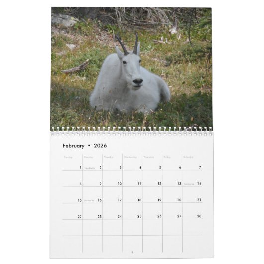 Glacier National Park Kalender (Feb 2026)