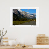 Glacier National Park - Lone Coyote Poster (Küche)