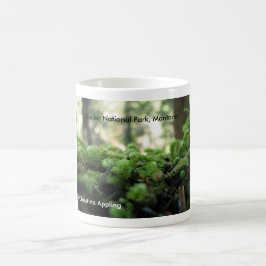 Glacier National Park, Montana Mossy Tasse