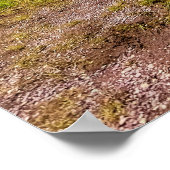 Glacier National Park, Montana, USA Poster (Ecke)