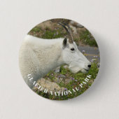 Glacier National Park Mountain Goat Foto Button (Vorderseite)