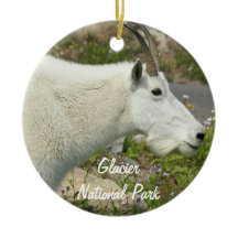 Glacier National Park Mountain Goat Foto