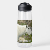Glacier National Park Mountain Goat Foto Trinkflasche (Vorne)
