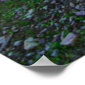 Glacier National Park Mountains Poster (Ecke)