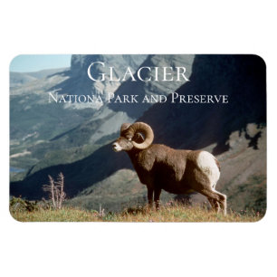 Glacier National Park, MT Magnet